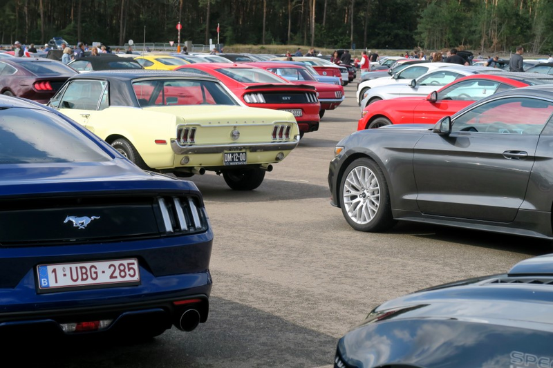 Illustration for article titled Belgium Takes The Ford Mustang World Record